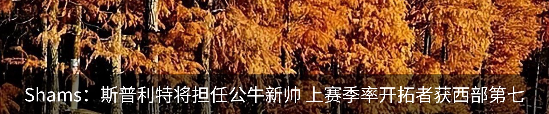 资讯动态
